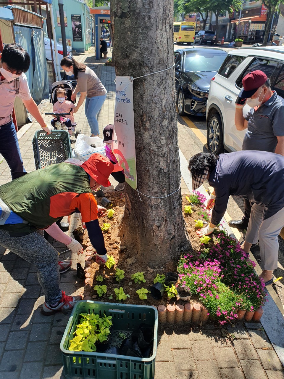 안산시 선부2동 땟골마을 가로수 화단 조성