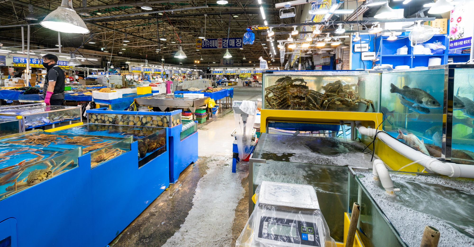 안산농수산물도매시장, ‘우수 수산물도매시장’ 선정