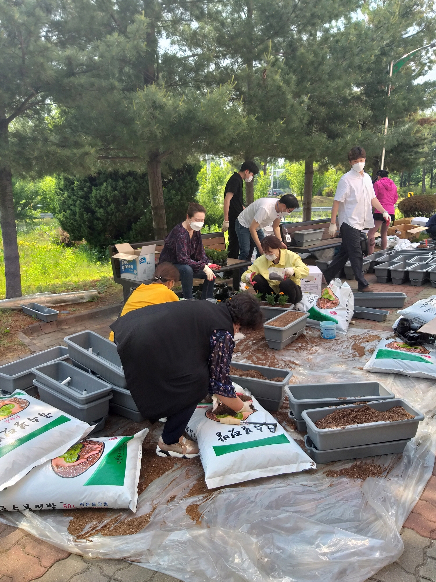 안산시 일동, 꽃화분 식재로 불법쓰레기 투기 방지