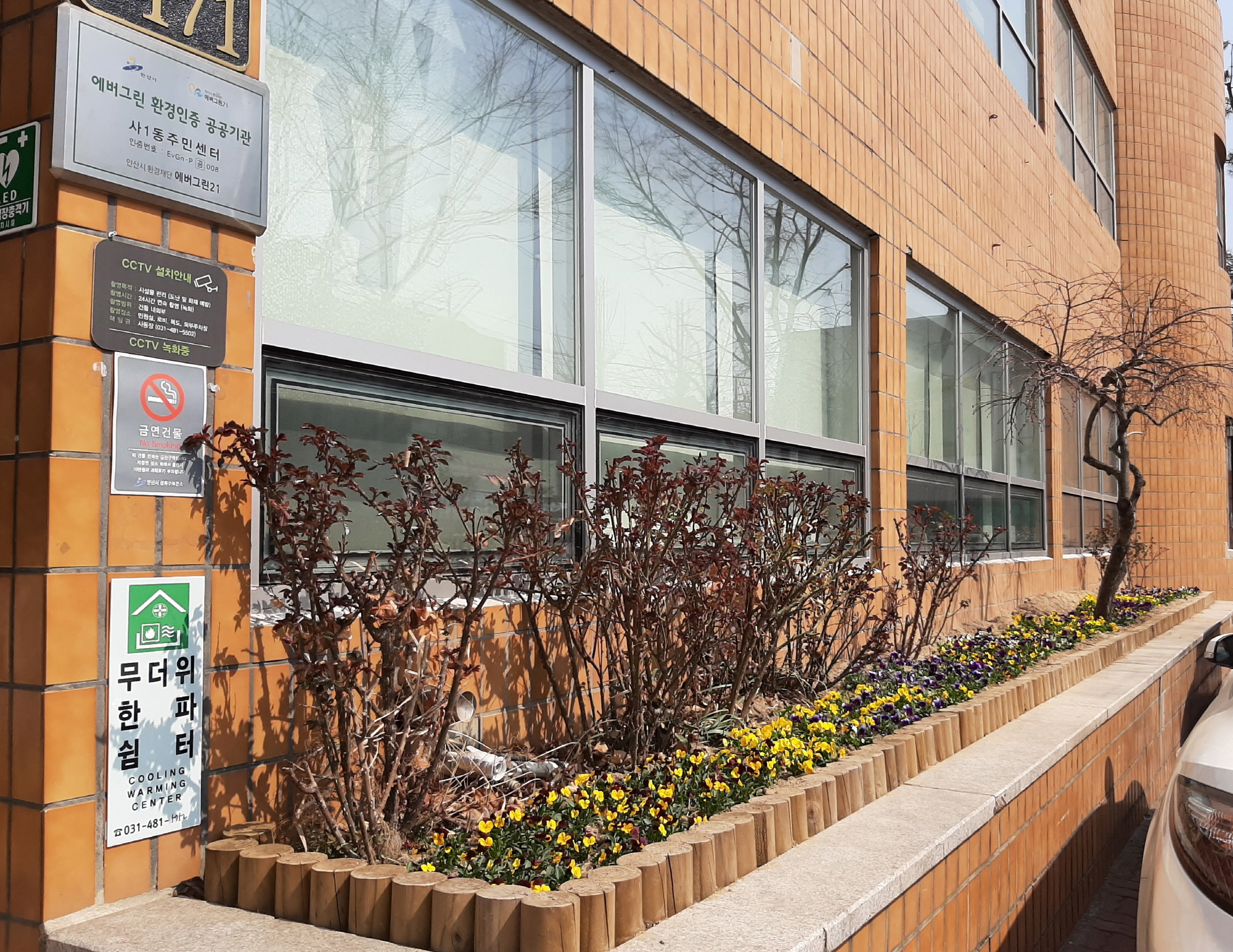 안산시 사동 청사에 봄이 왔어요