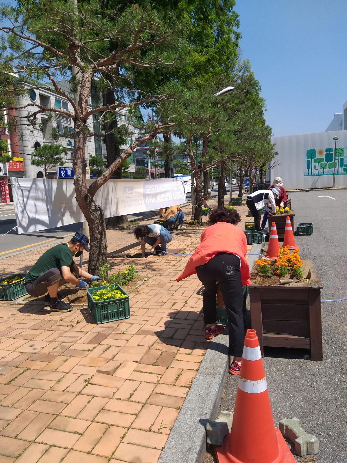 안산시 일동, 여름꽃 식재로 주민에 활기 불어넣어