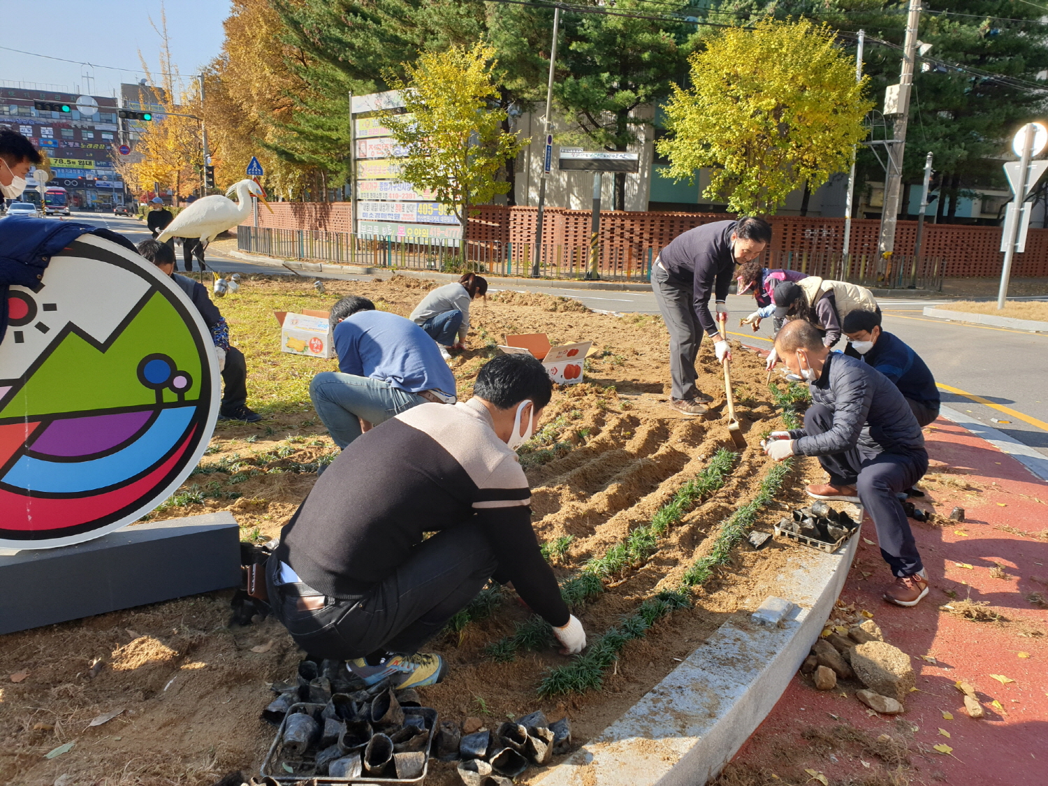 안산시 월피동, 월피 회전교차로에 초화류 식재