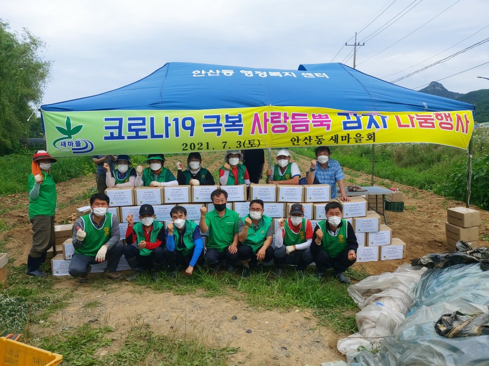 안산시 안산동 새마을회, 사랑의 감자로 나눔 실천