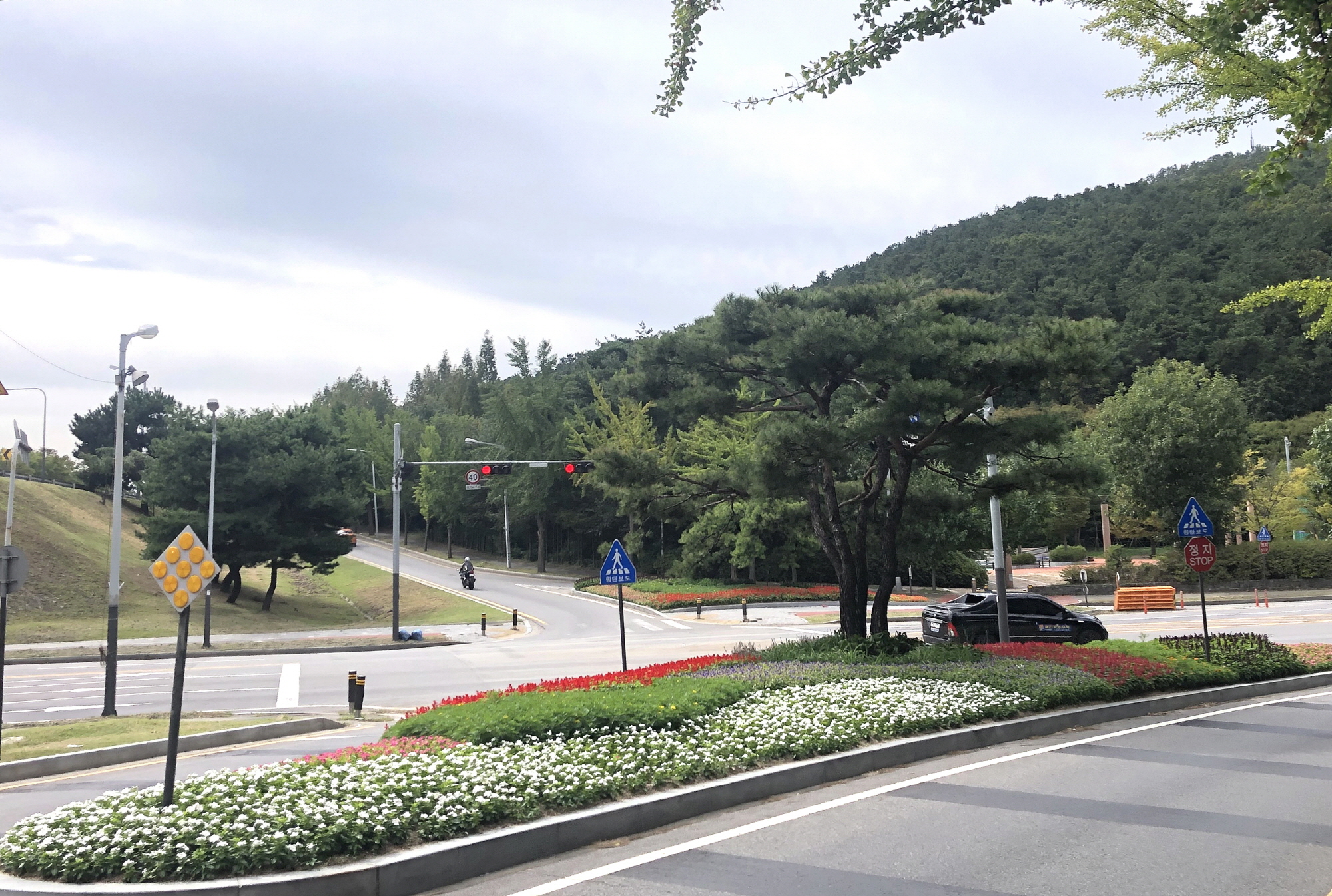 안산시, 코로나19 대응 꽃길 조성사업 참여자 모집