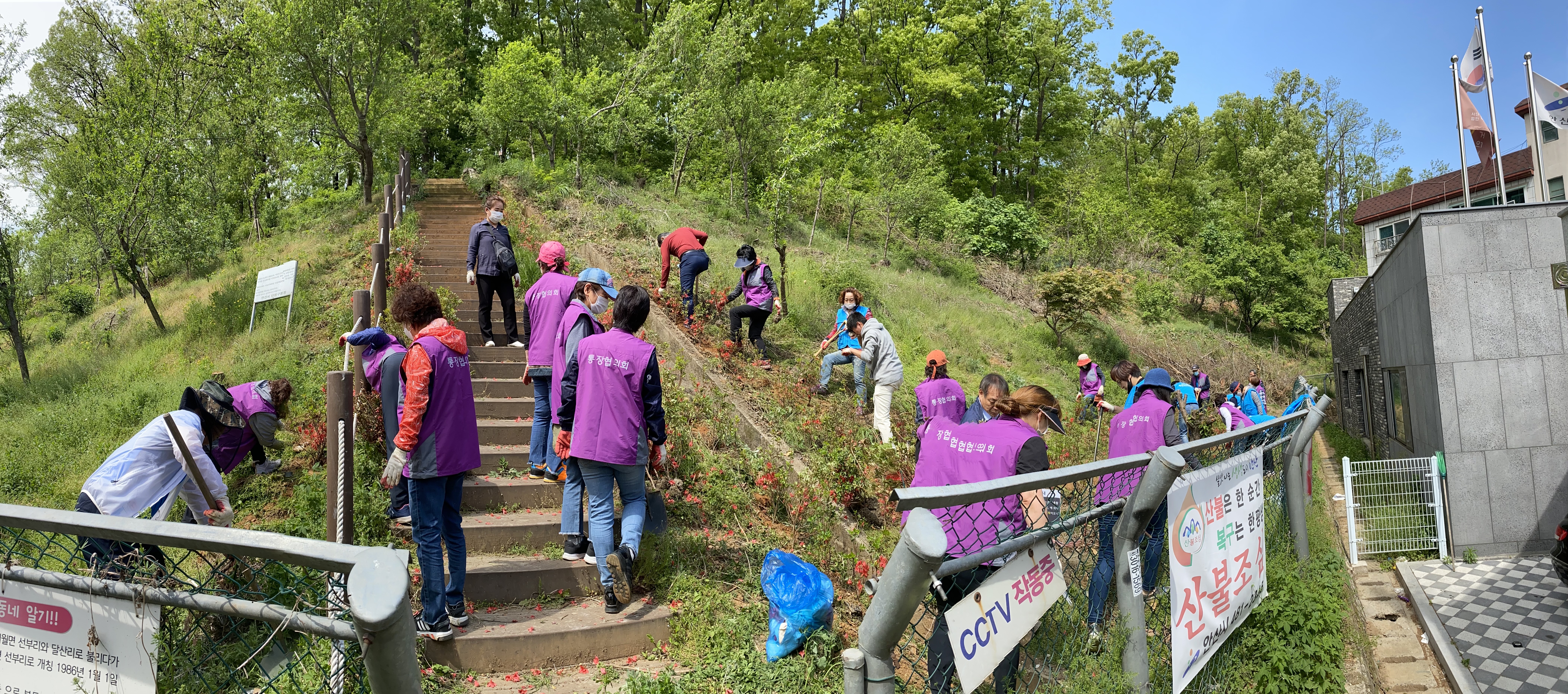 안산시 선부3동, 철쭉 식재로 도시숲 가꿔