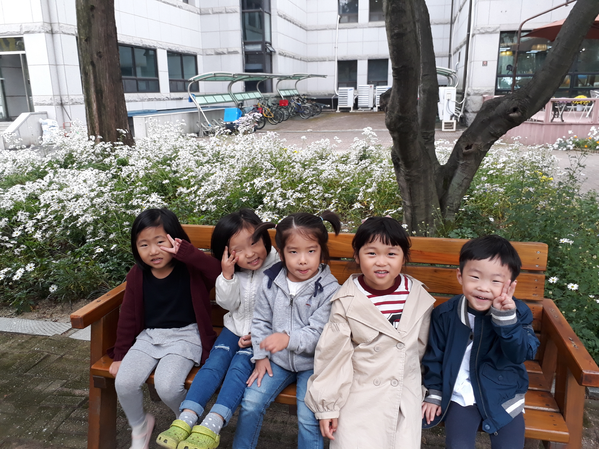 ‘안산시청에 가을꽃이 활짝 폈어요’