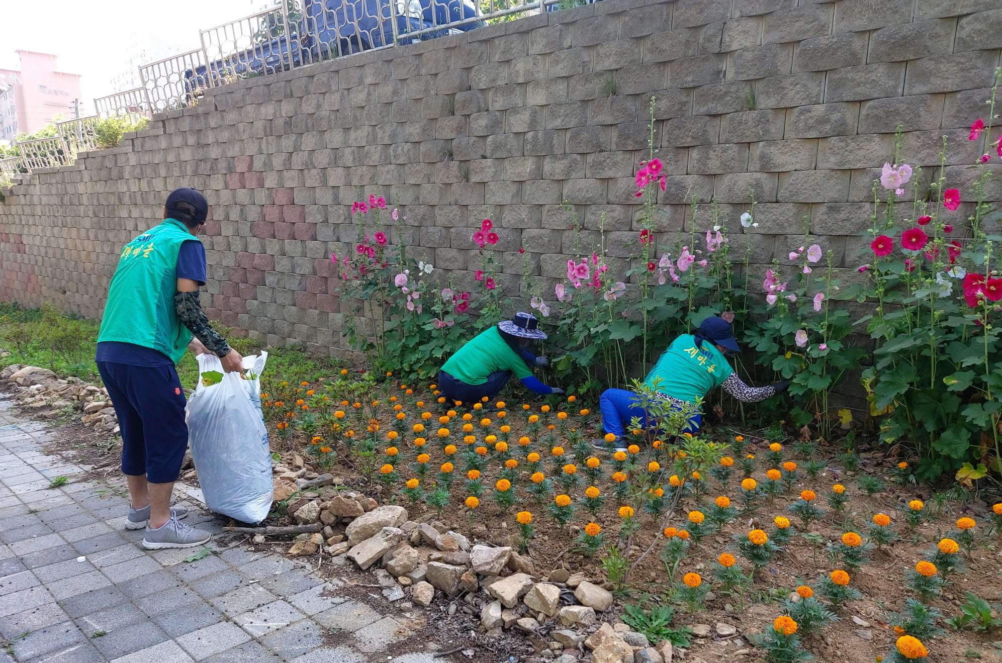 안산동 새마을회, 쌈지화단 제초 및 방제 작업