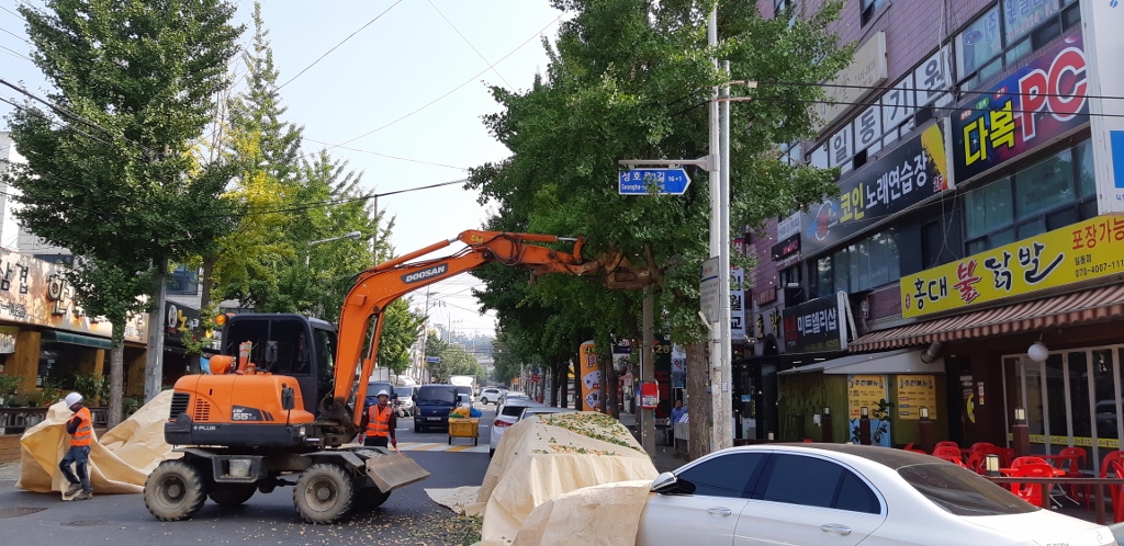 안산시, 가로수 은행 열매 활용한 나눔 실천