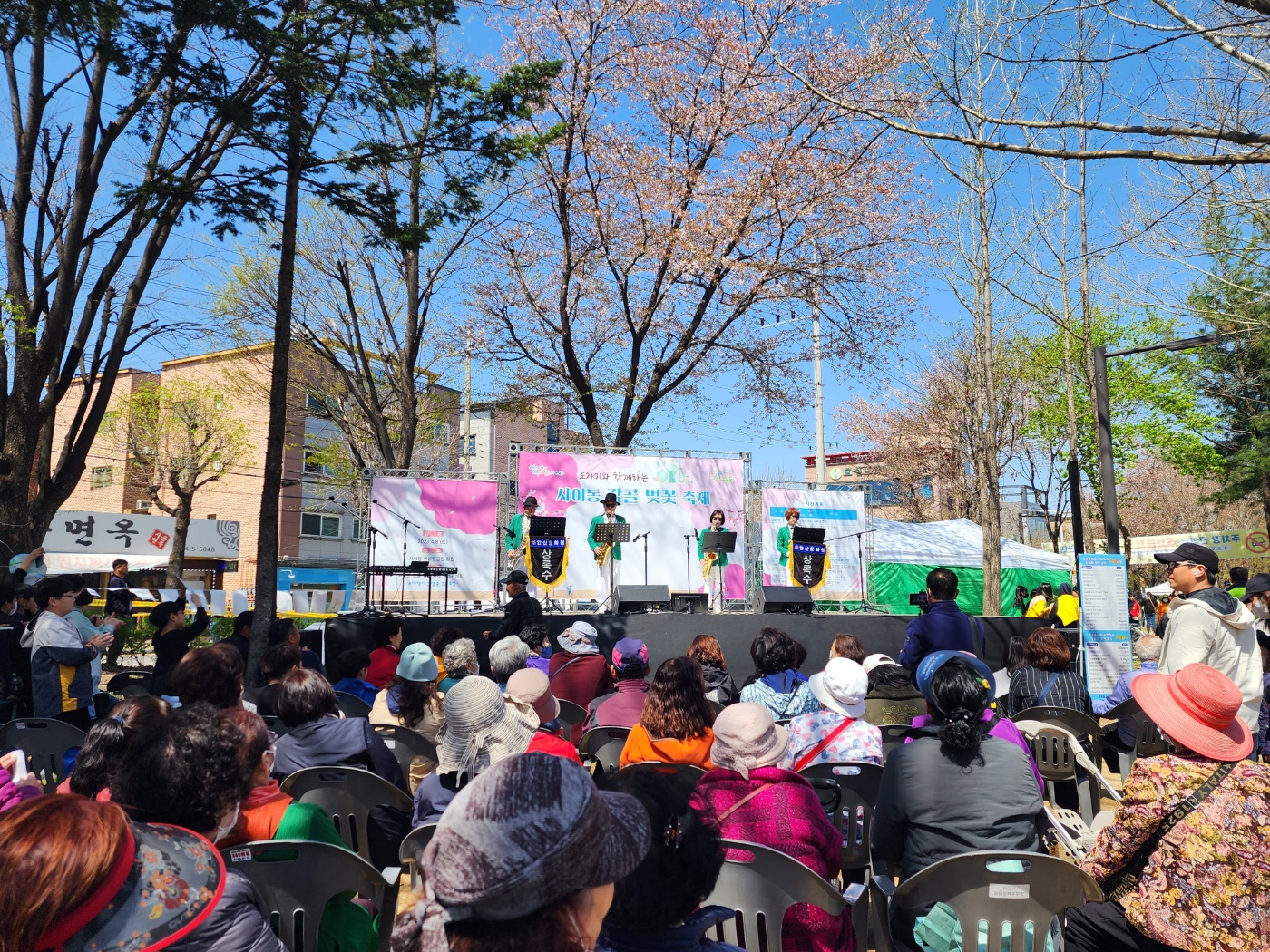 안산시 사이동, 벚꽃 축제 성황리에 개최