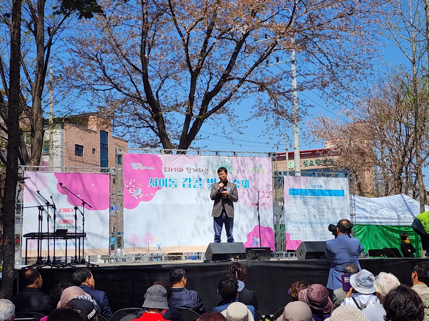 안산시 사이동, 벚꽃 축제 성황리에 개최