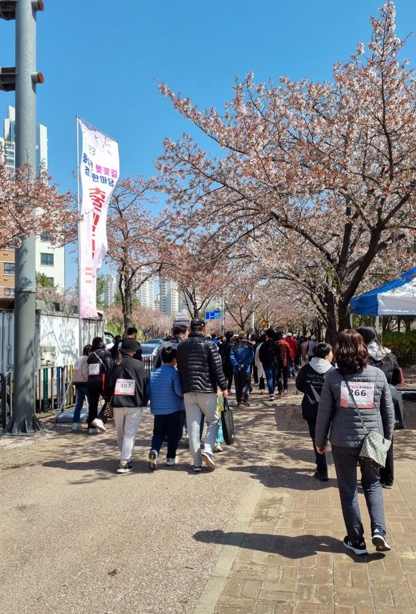 안산시 초지동, 화정천 벚꽃길 걷기 한마당 개최
