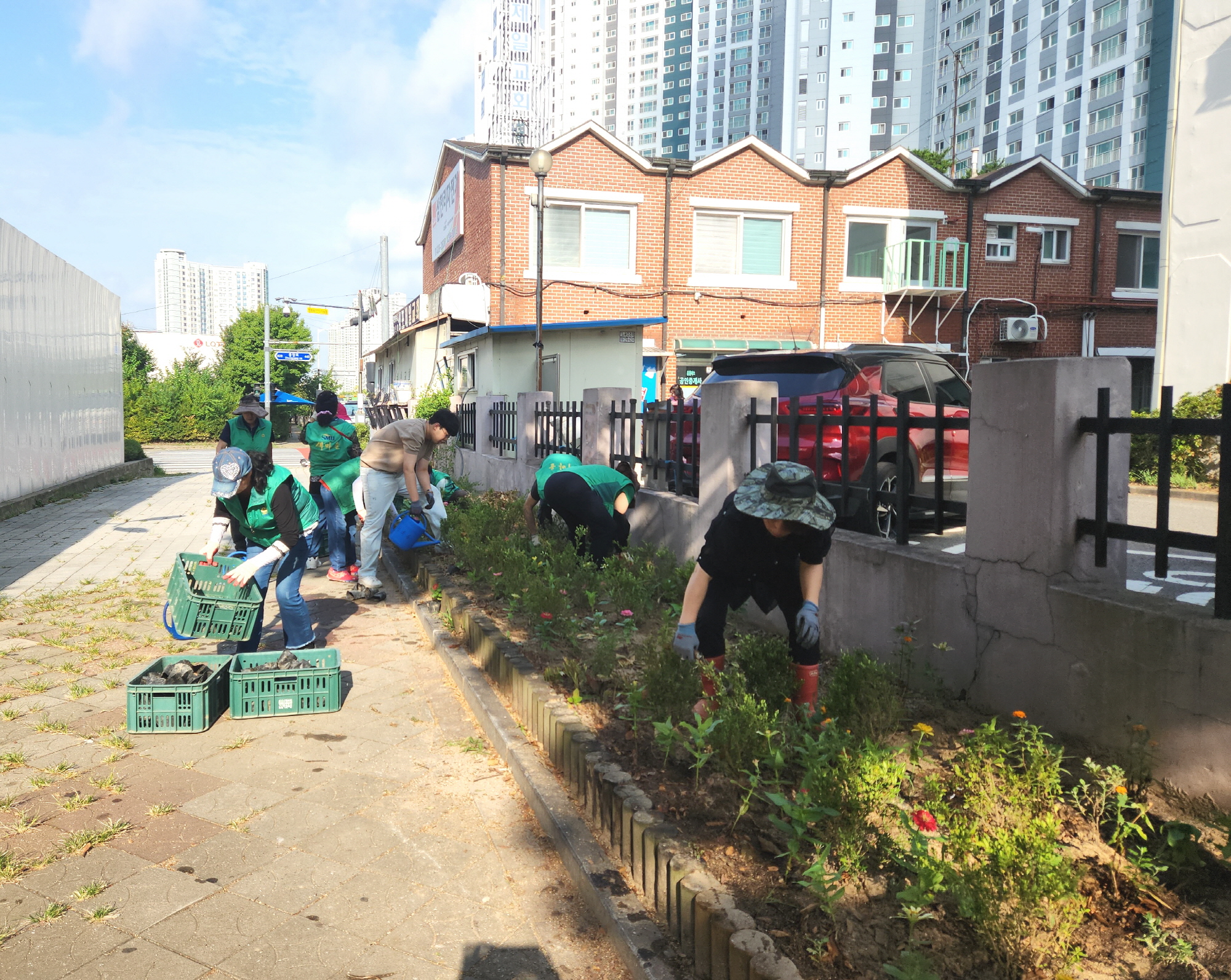 안산시 성포동 새마을회, 화사한 가을꽃 식재