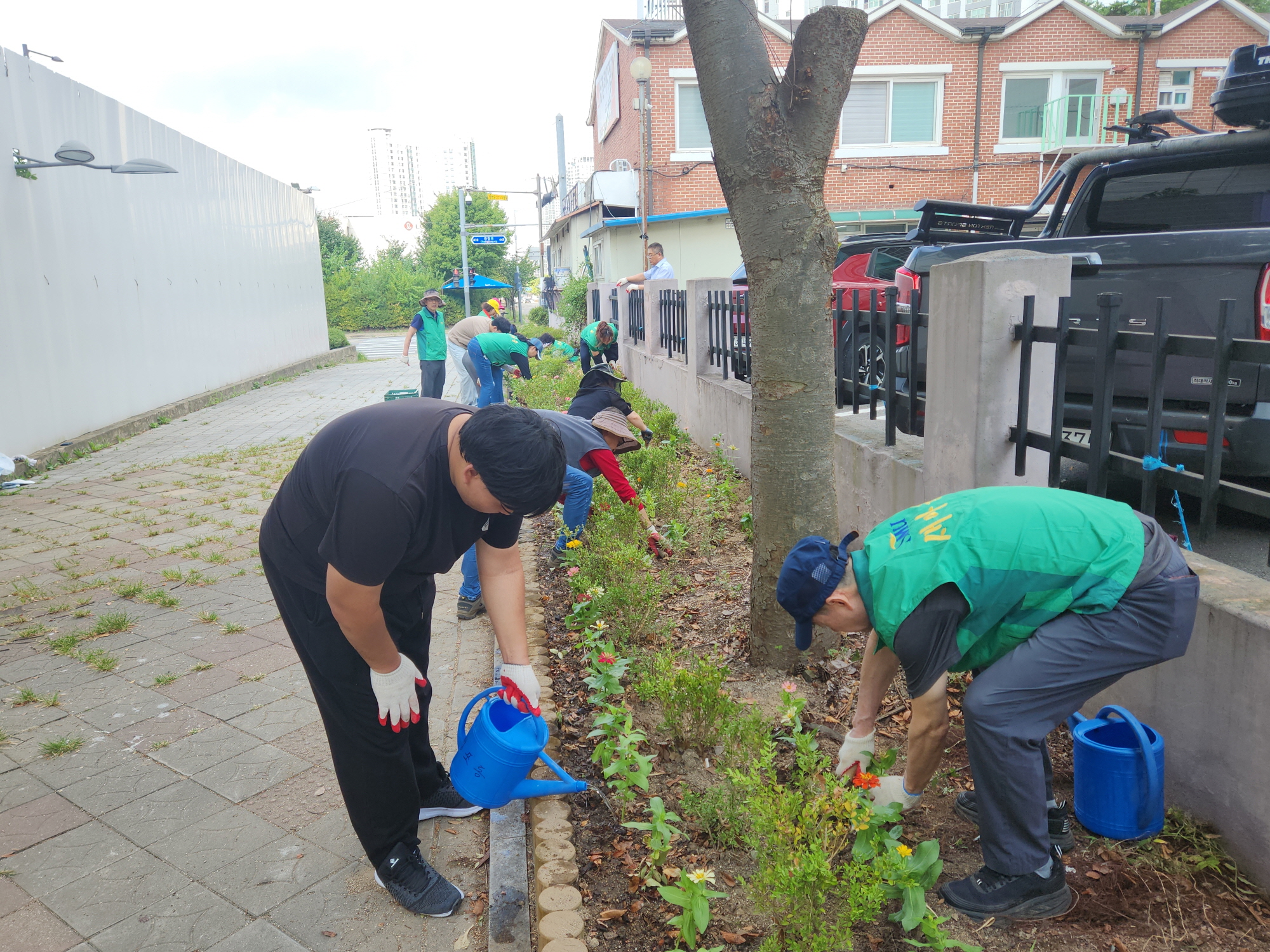 안산시 성포동 새마을회, 화사한 가을꽃 식재
