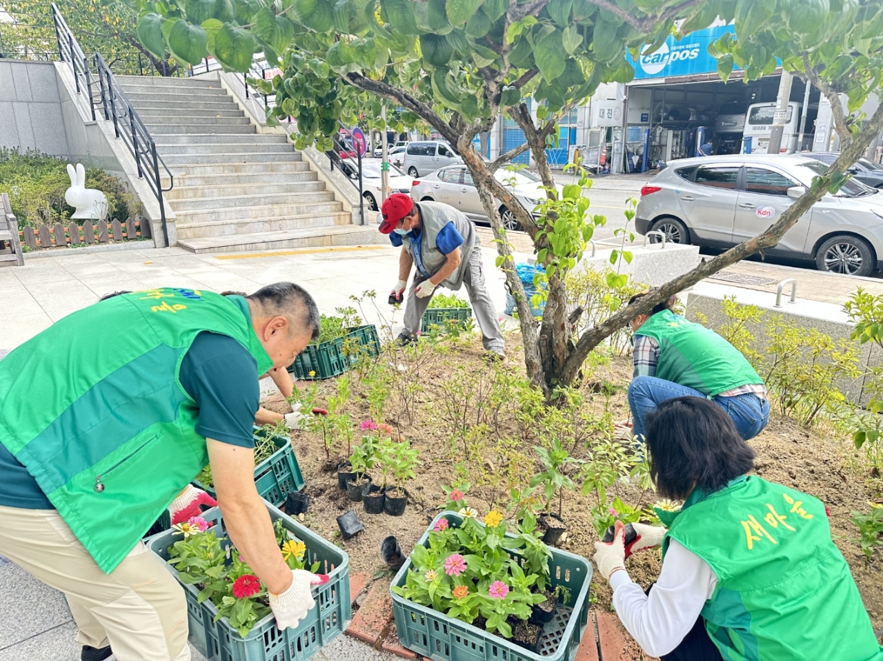 안산시 원곡동 새마을회, 가을꽃 식재로 환경정비 나서