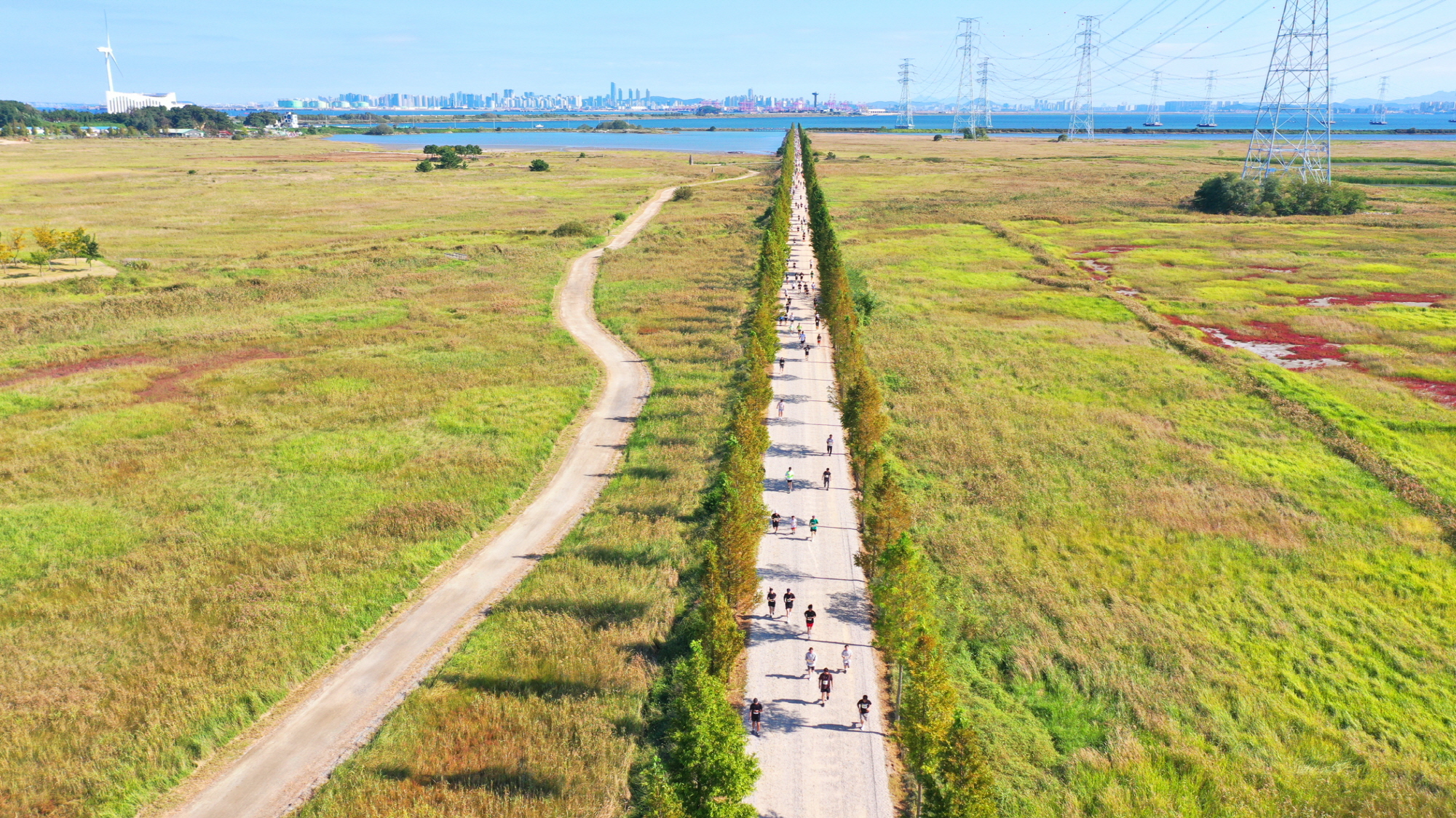 대부의 가을바람과 함께… 안산시, 2024 안산마라톤대회 성황리 개최