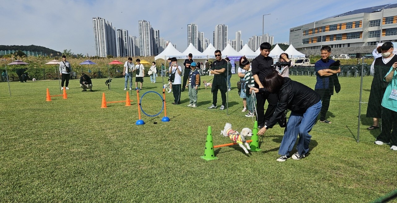 반려동물도 함께 2024 안산페스타… 안산시, 펫 페스티벌 개최