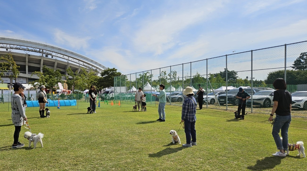 반려동물도 함께 2024 안산페스타… 안산시, 펫 페스티벌 개최