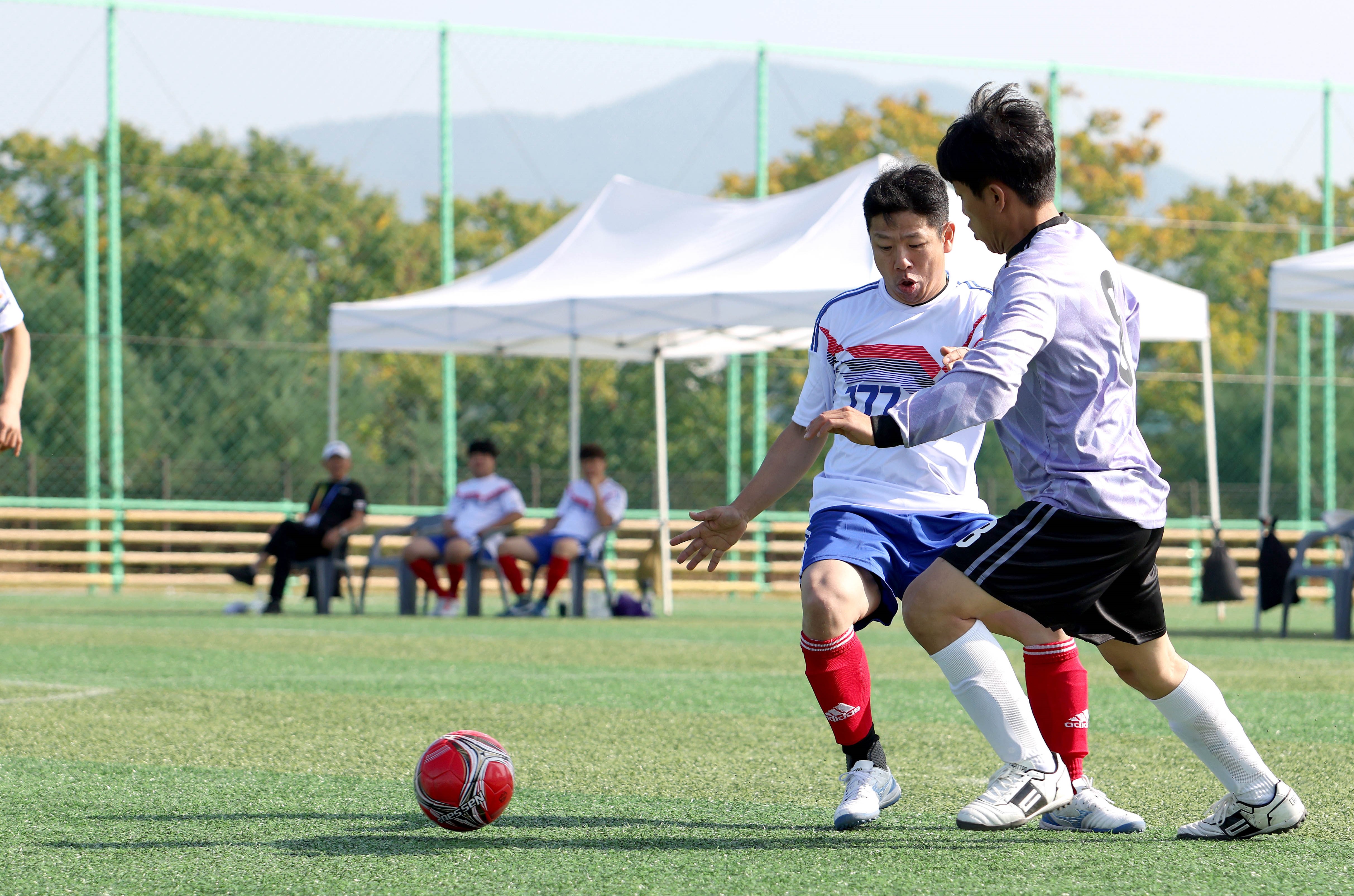 안산시, 제18회 경기도장애인생활체육대회서 역대 최다 메달 획득