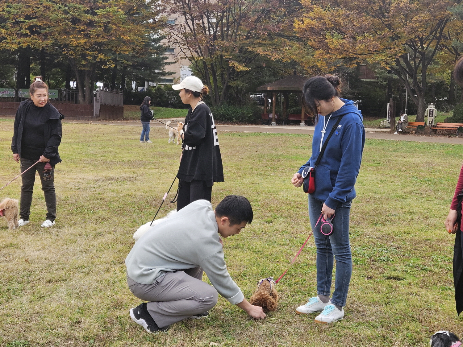 안산시 부곡동 주민자치회, 반려견과 함께하는‘펫티켓’교육 성료