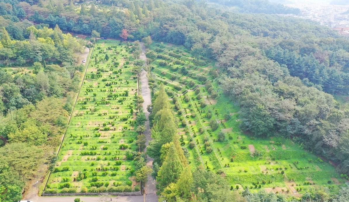 안산시, 설 명절 연휴 하늘공원·꽃빛공원 정상 운영
