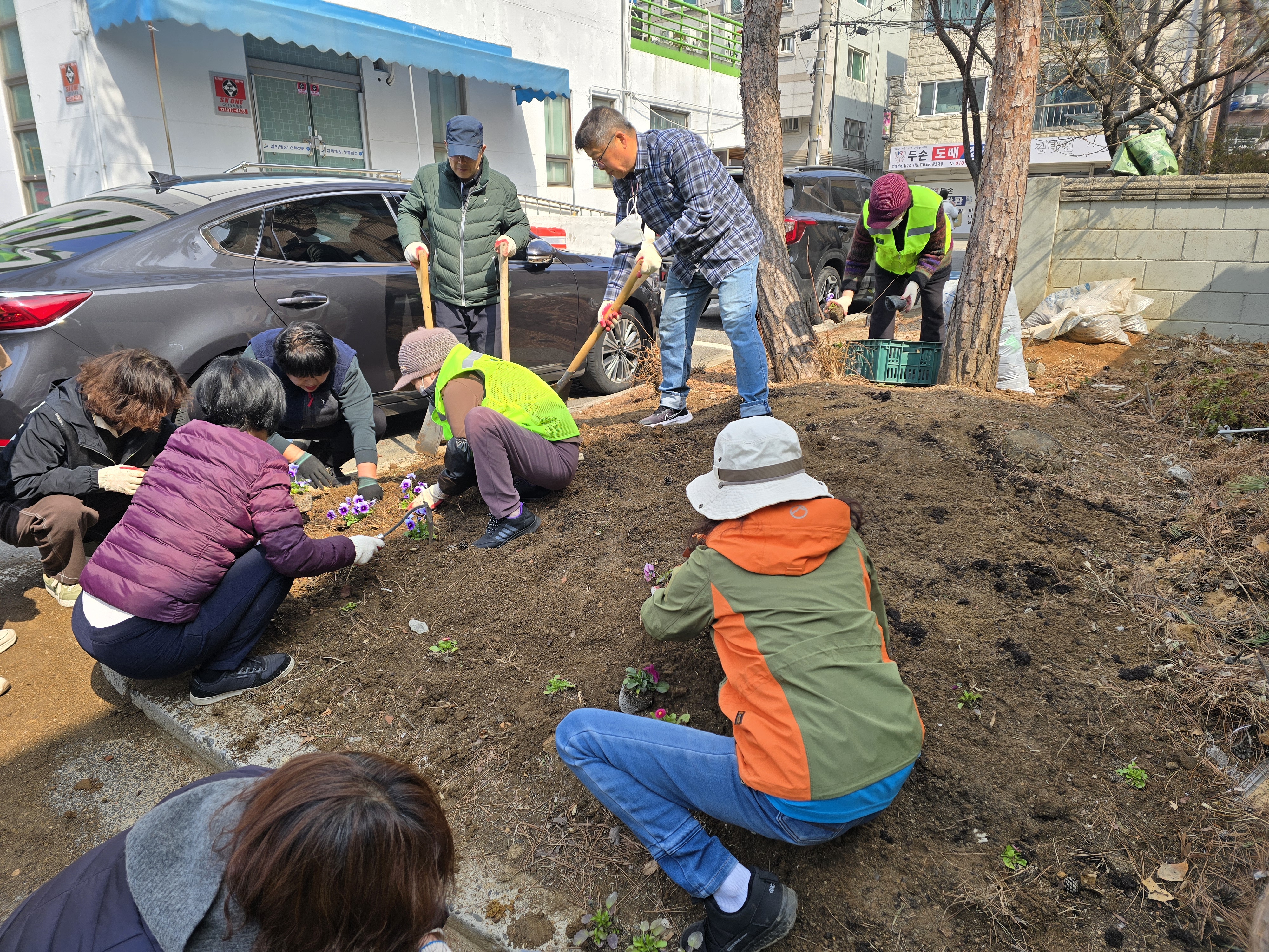 안산시 선부2동, 봄맞이 꽃심기 행사