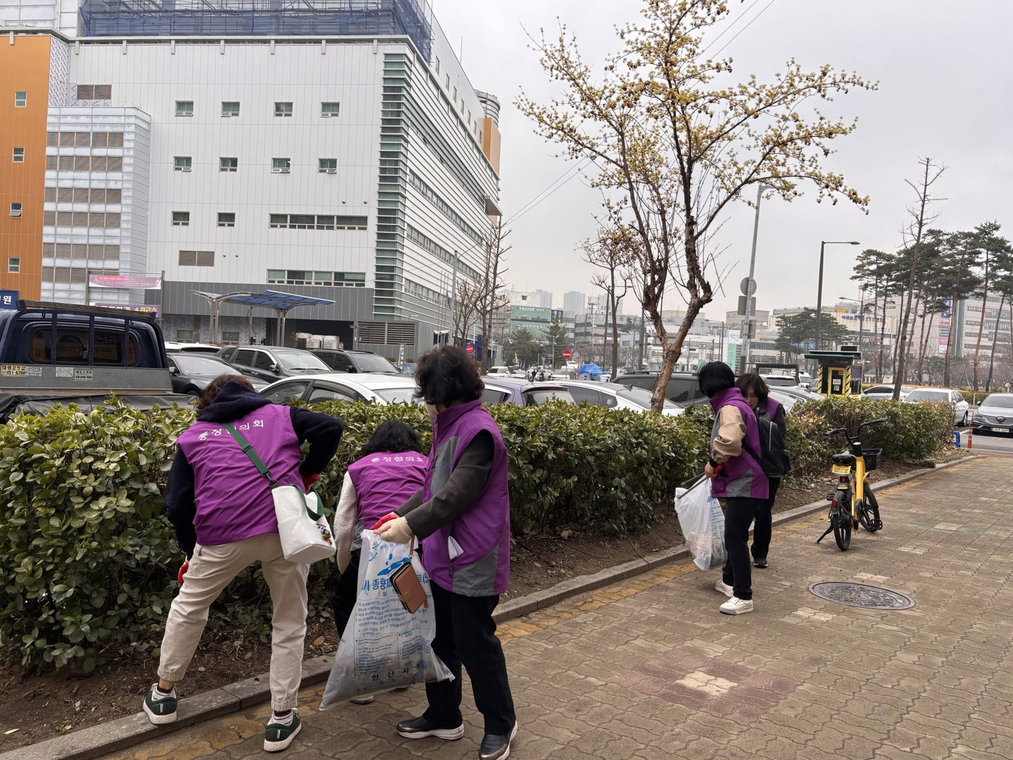 안산시 선부1동, 3월 안산사랑 대청소 추진