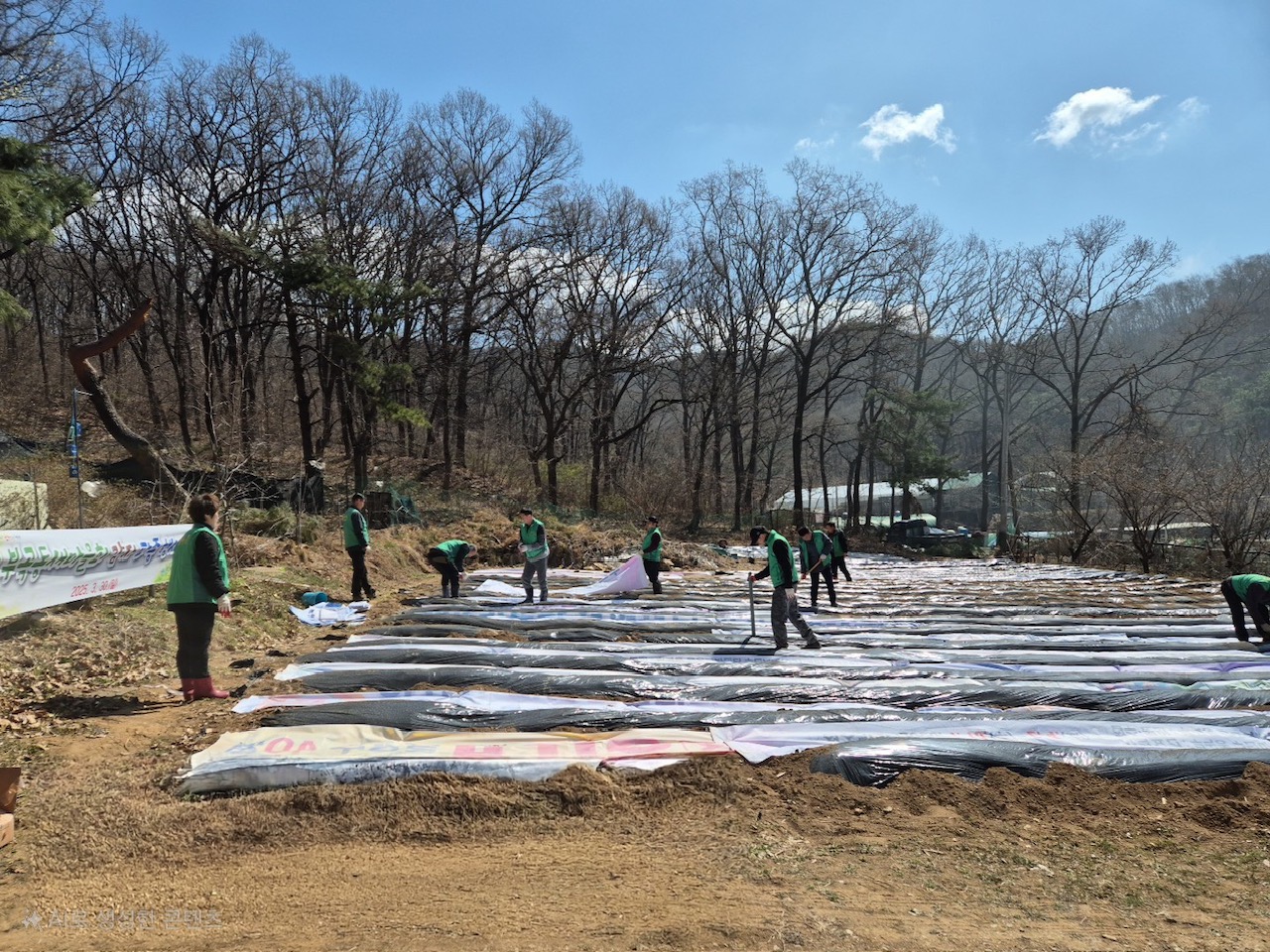 안산시 부곡동 새마을회, 이웃 사랑 감자 파종