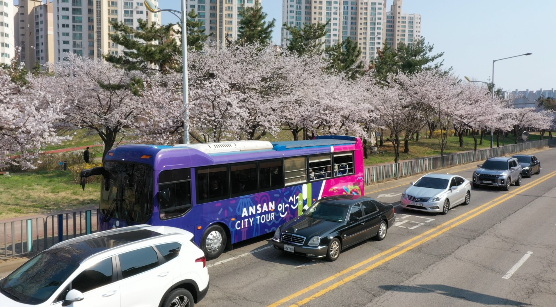 안산시티투어‘핑크로드 in Ansan’성료… 봄맞이 특별 코스 호응