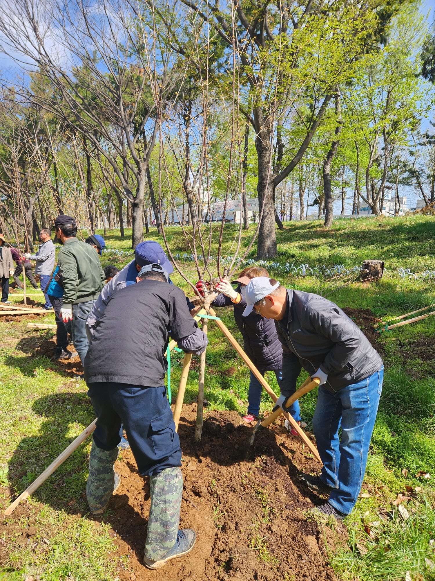 안산시 상록구, 제80회 식목일 기념 나무 심기 행사 개최