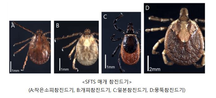 안산시, 봄철 야외 활동 시 참진드기 피해 예방 철저 당부