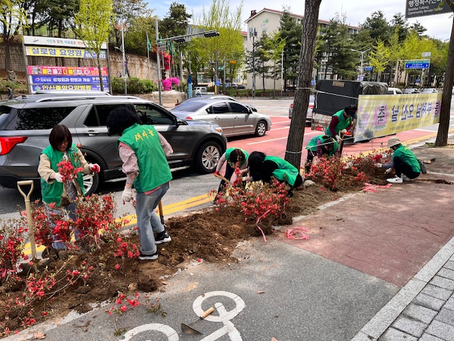 안산시 선부1동 새마을부녀회, 봄맞이 영산홍 식재 및 환경정화활동