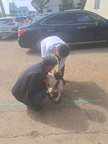 안산시, 5월 7일부터 반려동물 광견병 예방접종 실시