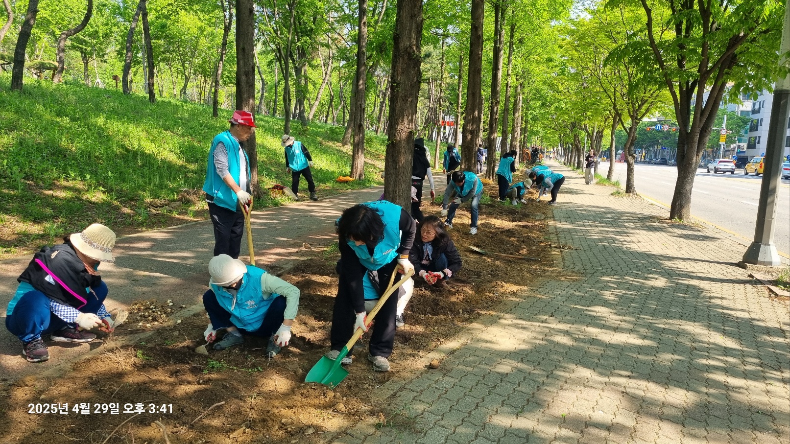 안산시 이동 주민자치회, 황토십리길에 꽃길 조성