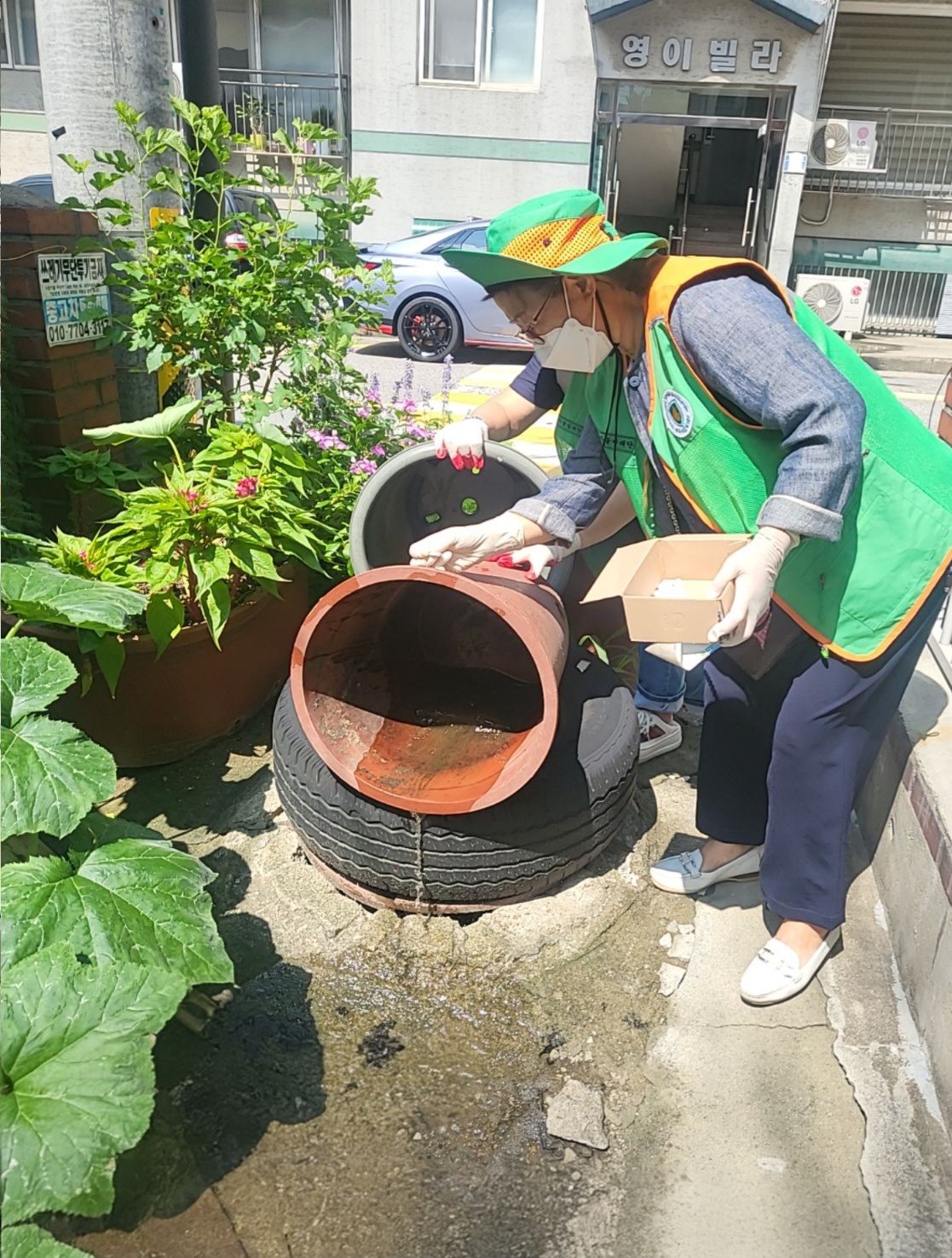 안산시, 유충구제 방제활동 실시… 감염병 예방에‘맞손’