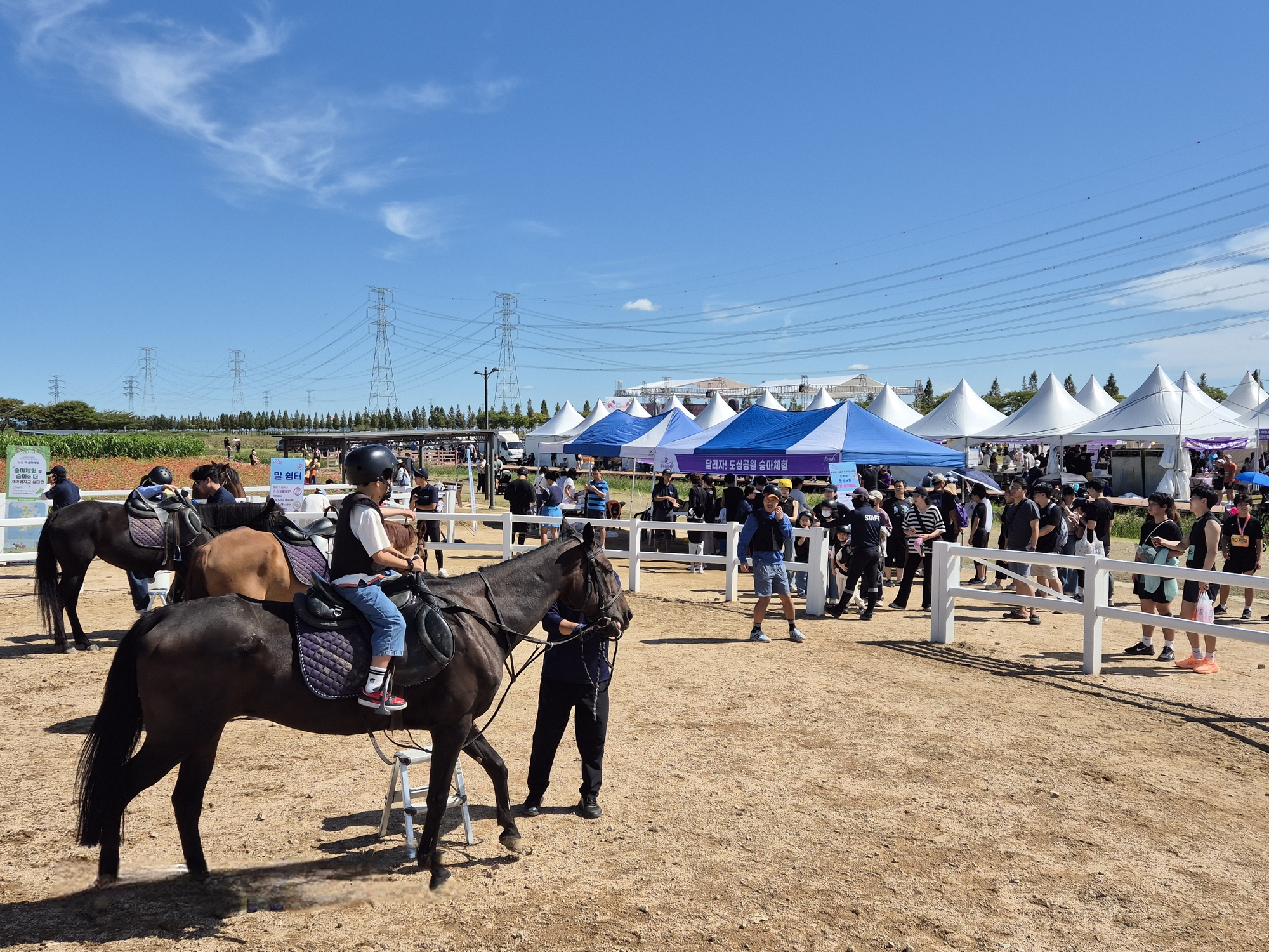 안산시, 대부포도축제서‘도심 속 승마 축제’… 1,700여 명 참여