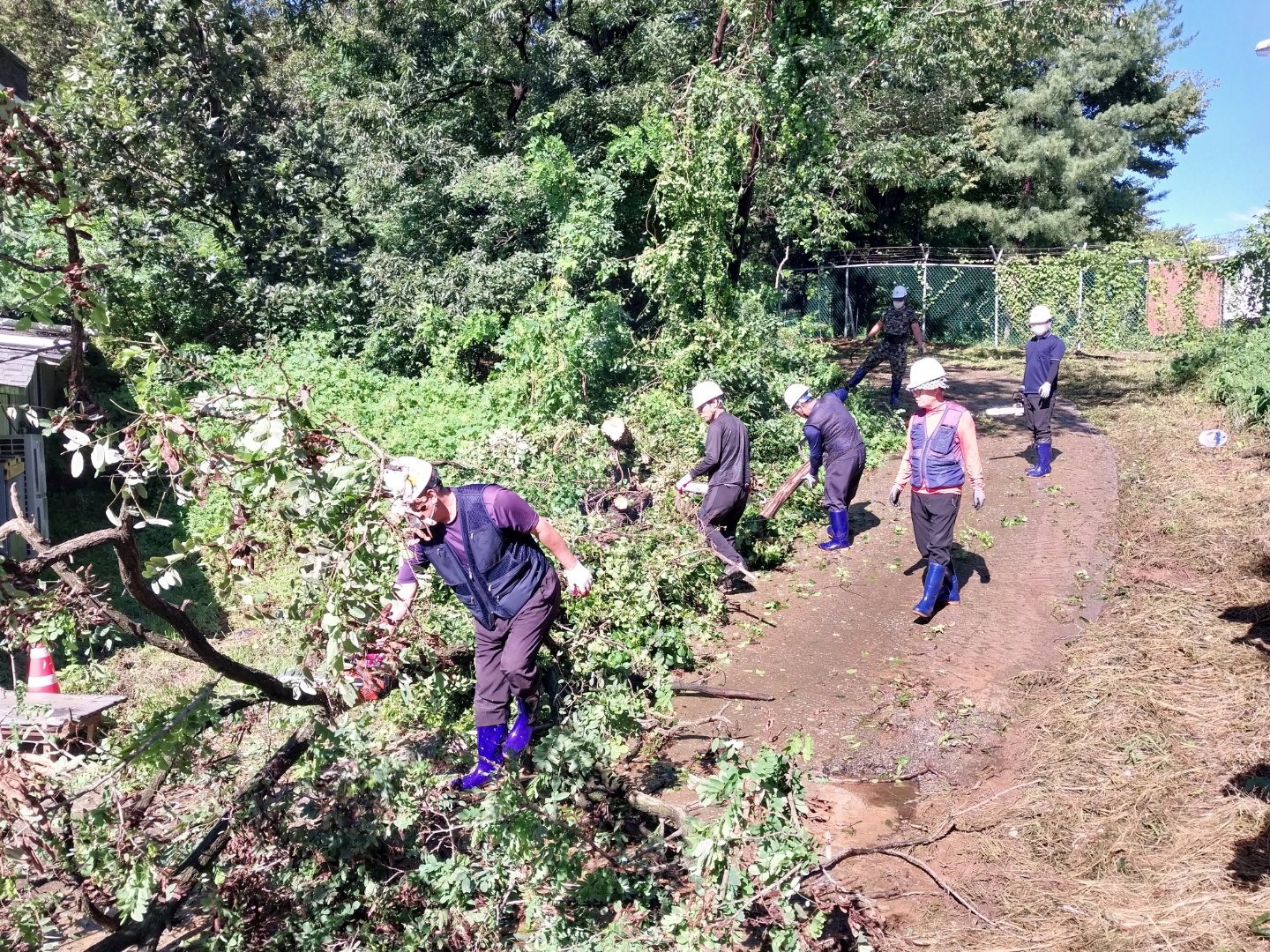 안산시, 태풍 ‘힌남노’ 피해 복구 신속 대응 나서