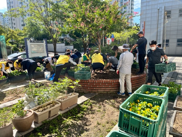 안산시 초지동 통장협의회, 행정복지센터 일대 가을꽃 식재