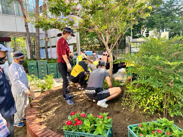 안산시 초지동 통장협의회, 행정복지센터 일대 가을꽃 식재