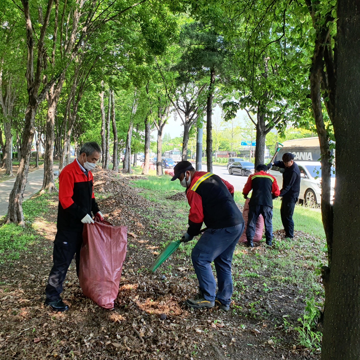 안산시, 국제거리극축제 맞아 중앙대로 녹지대 환경정비 실시