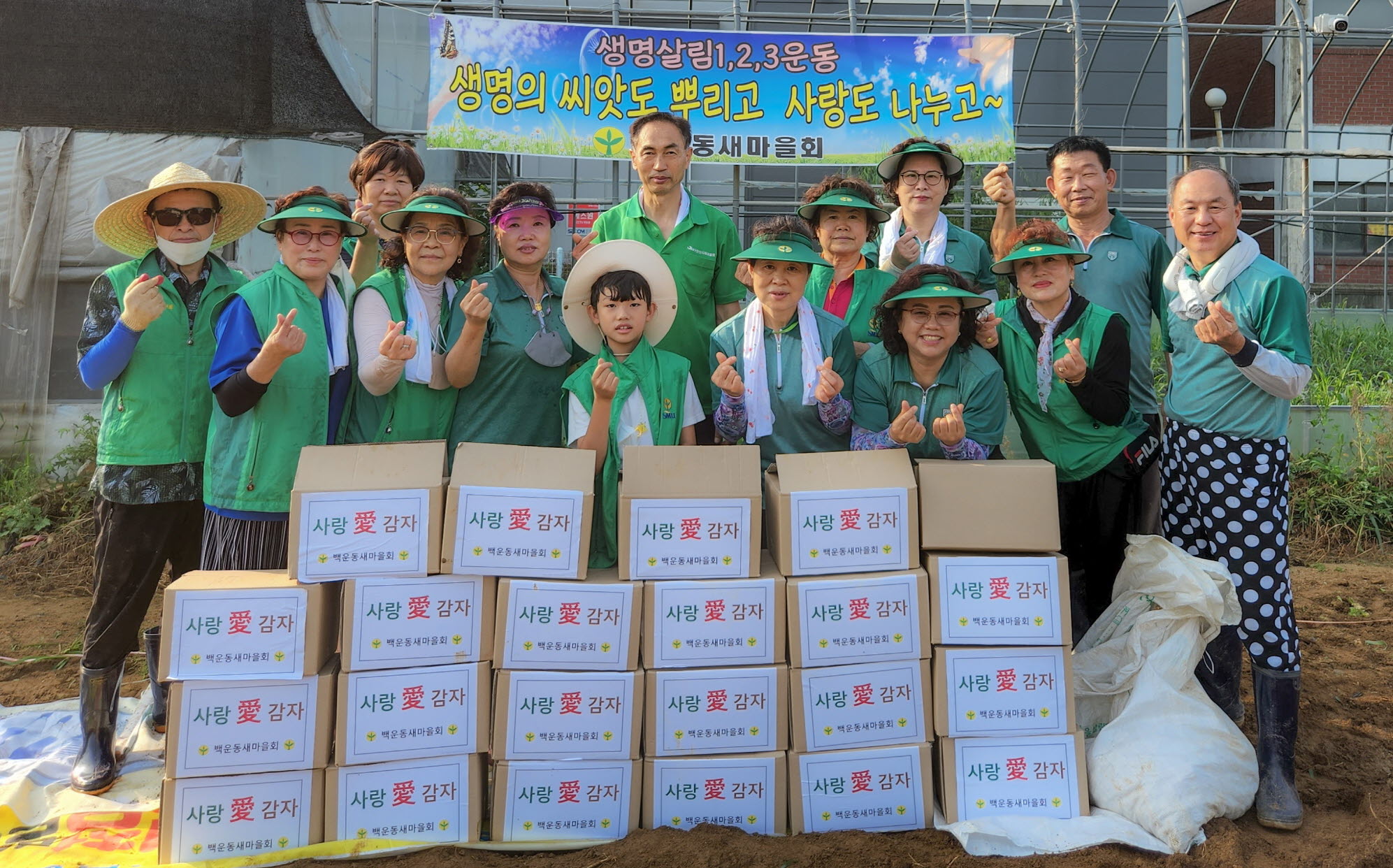 안산시 백운동 새마을회, 사랑愛 감자 나눔 행사