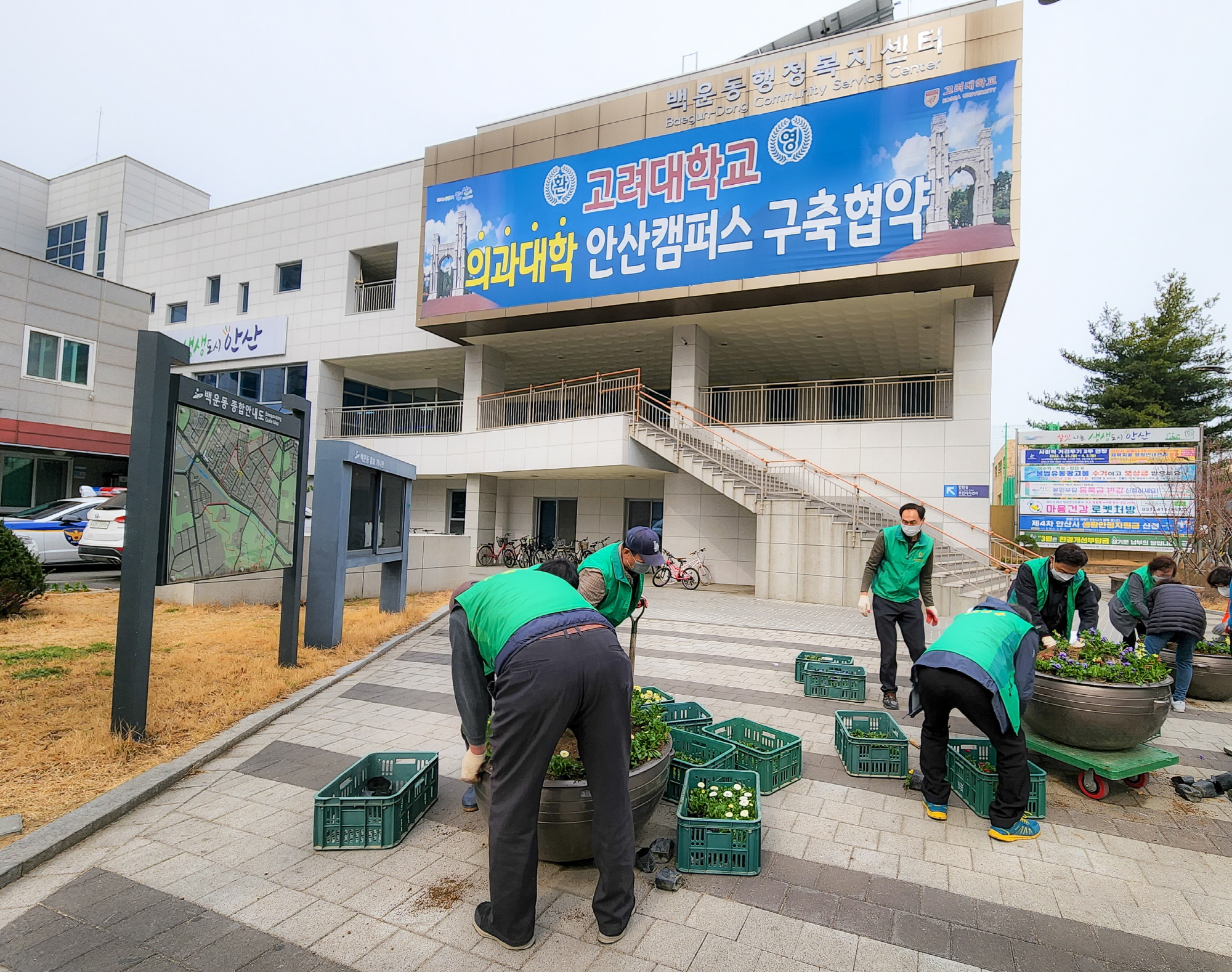 안산시 백운동 새마을회, 새봄맞이 꽃화단 조성