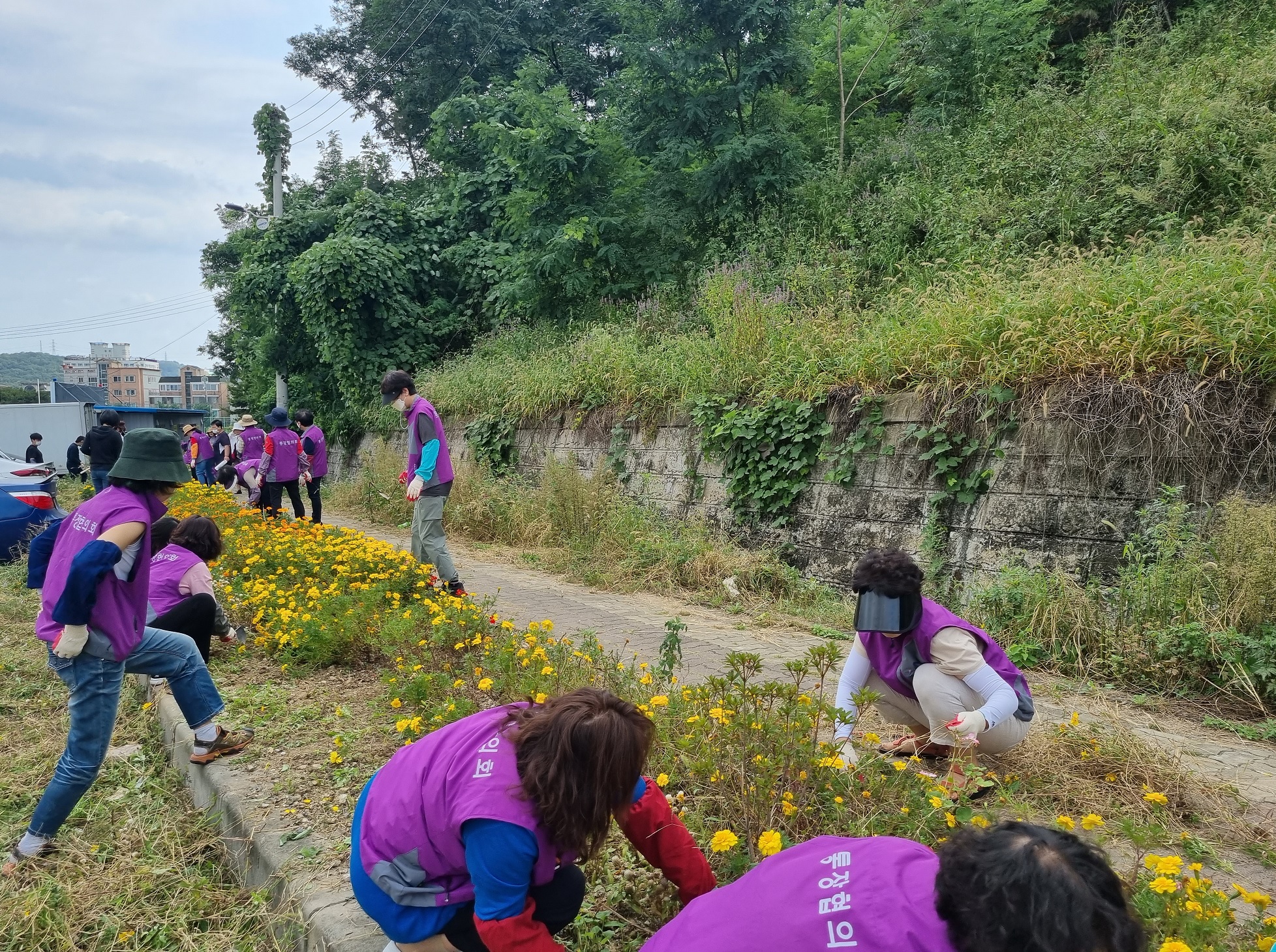 안산시 사동 통장협의회, 깨끗한 마을 만들기 앞장
