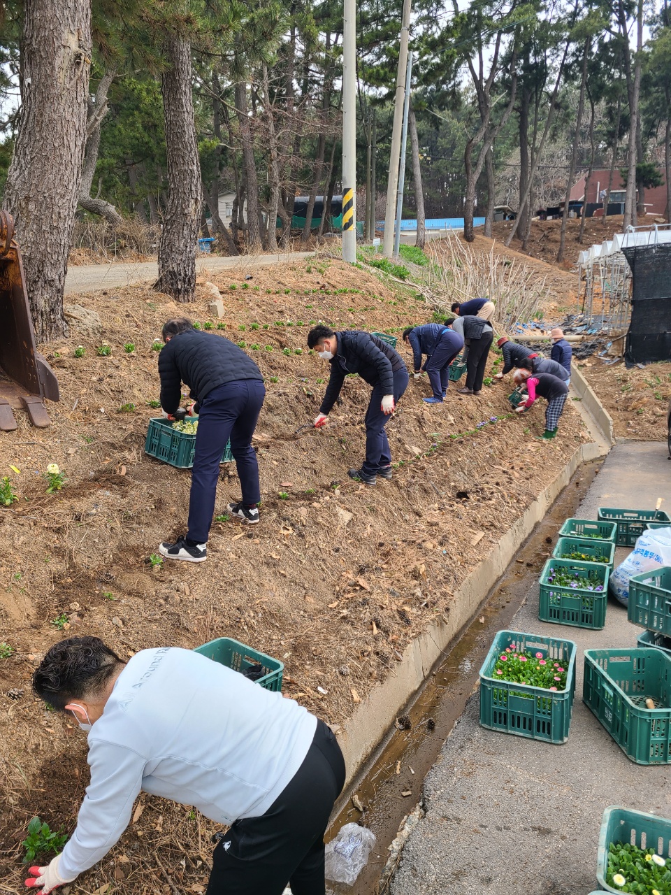 안산시 대부동, 봄꽃 식재로 청사에 봄 향기 가득