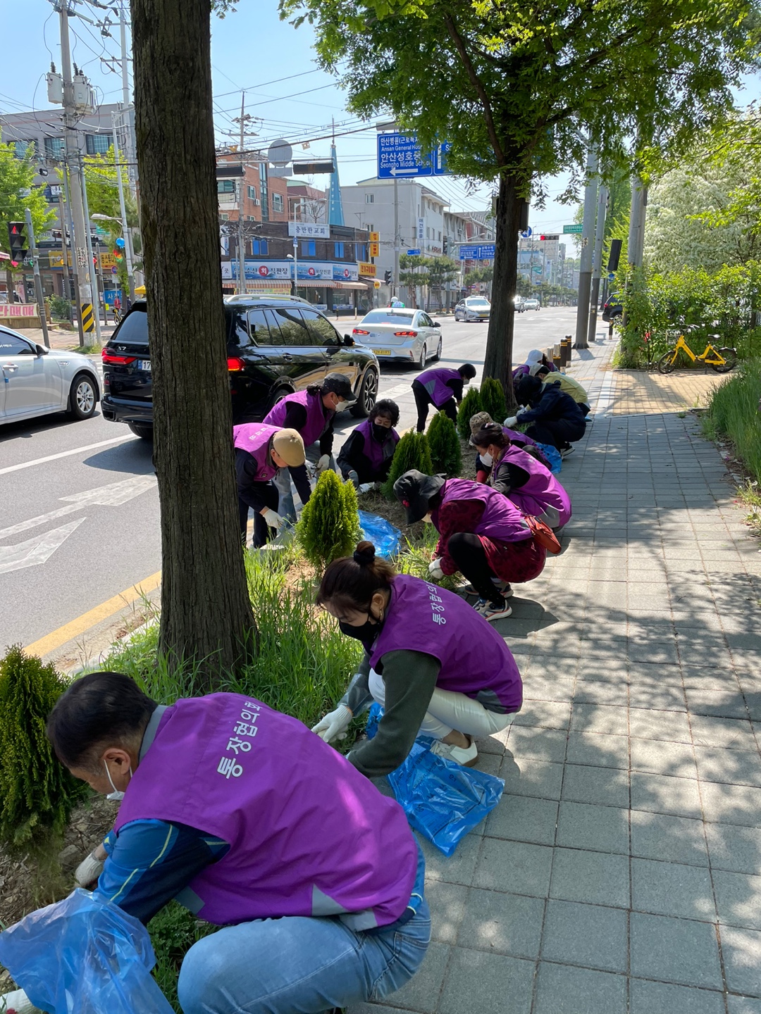 안산시 일동 통장장협의, 깨끗한 마을 가꾸기 솔선수범