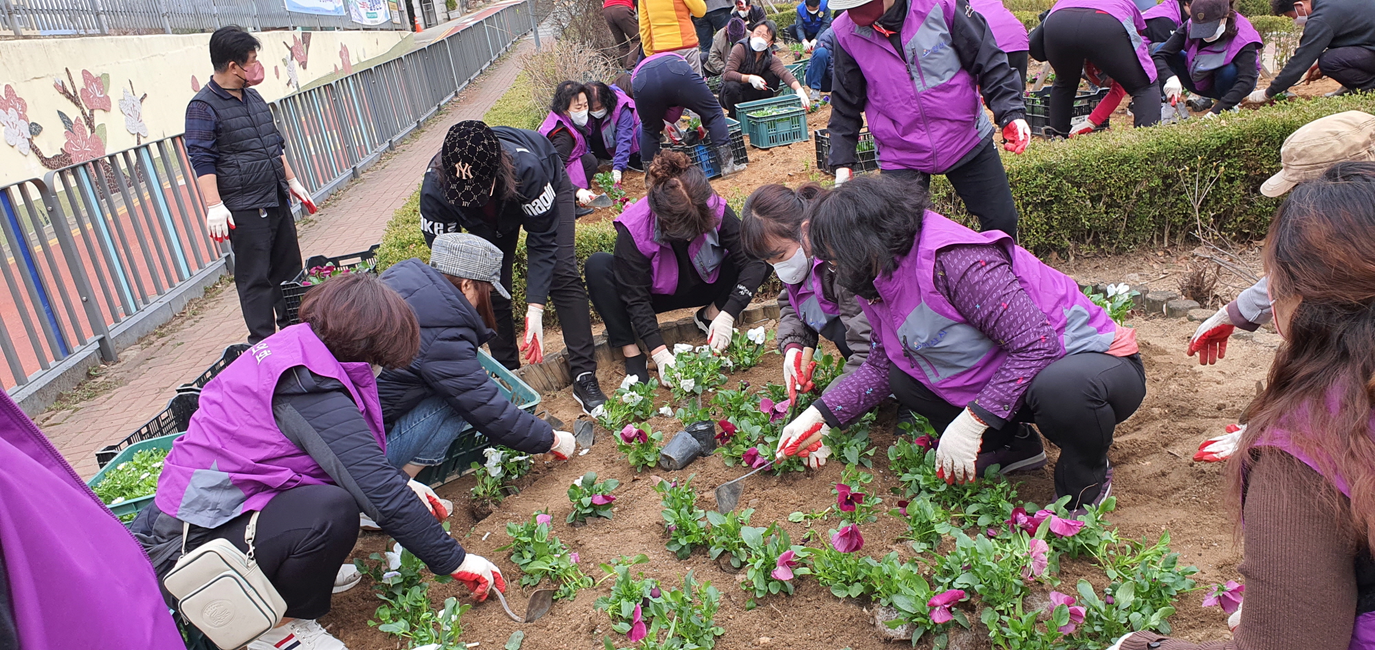 봄봄봄 부곡동에 봄이 왔어요♪