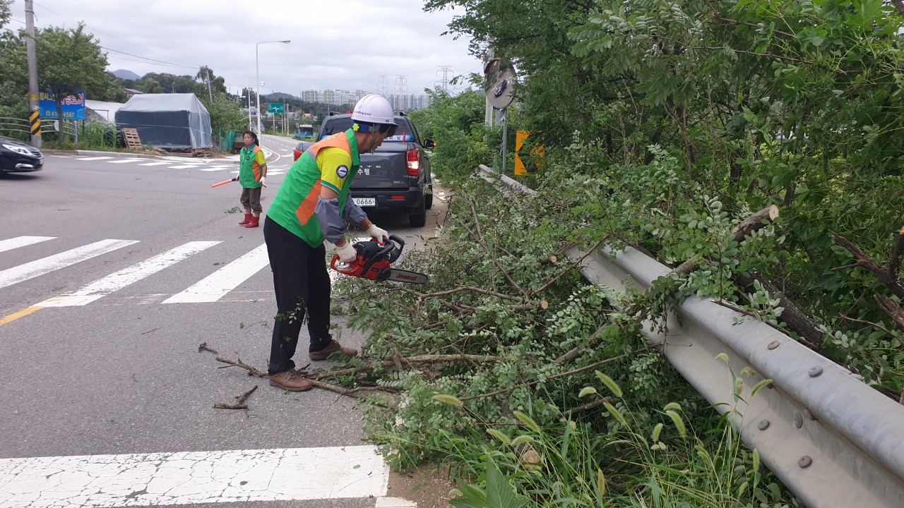 안산시, 태풍 · 호우 등 여름철 자연재난 24시간 대응체제 돌입