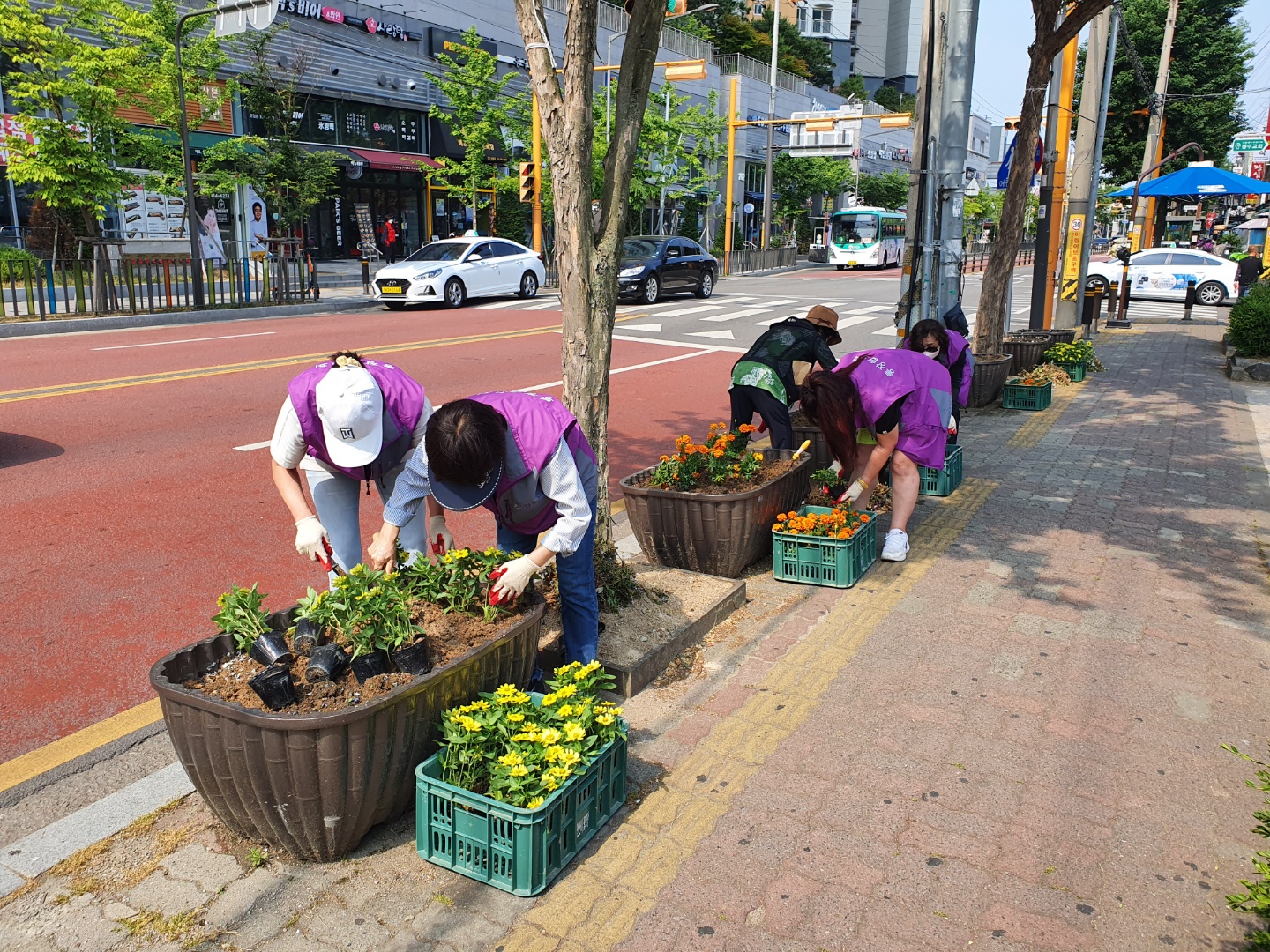 안산시 와동 통장협의회, 와동 꽃으로 물들이다.