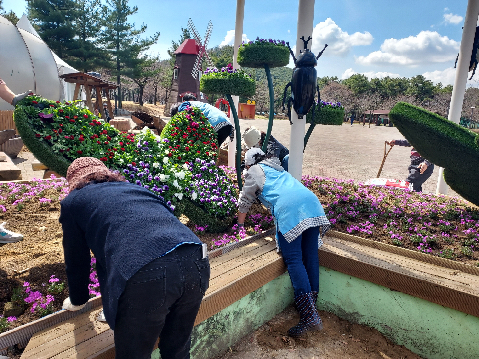 안산시 와동 희망마을만들기협의회, 와리정원 봄꽃 식재