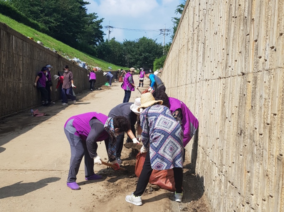 안산시 본오1동 통장협의회, 수해 쓰레기 수거 봉사 활동