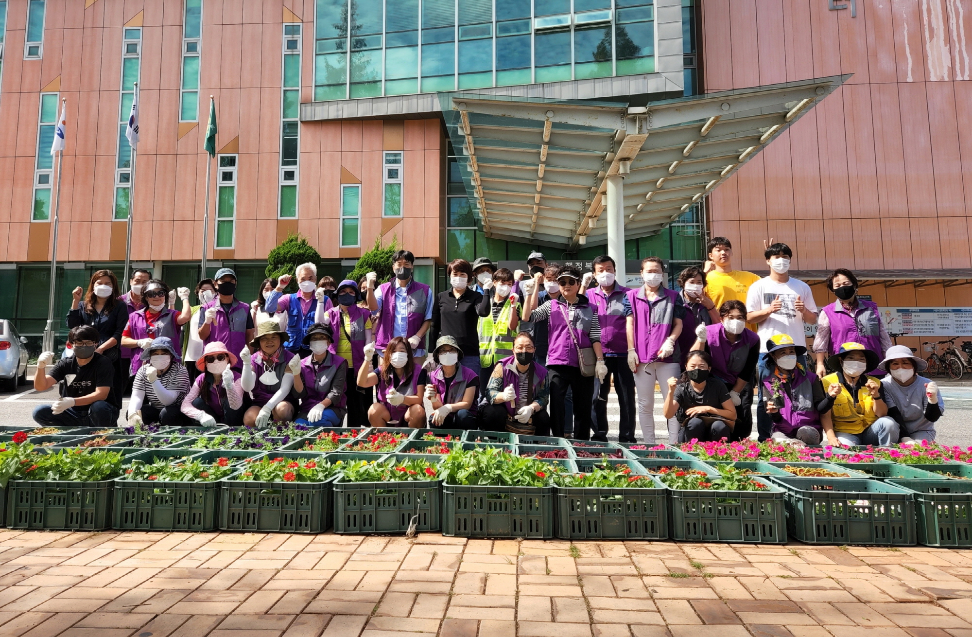 안산시 일동, 여름 폭염·폭우 이후 다시 가을꽃 피우다